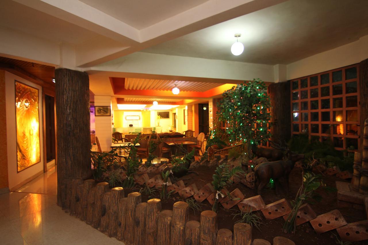 潘奇加尼 Mount View Executive酒店 外观 照片